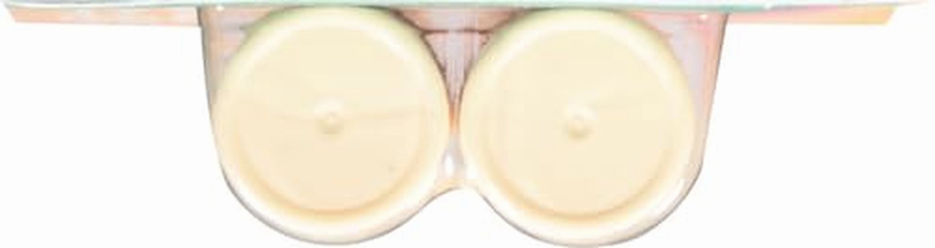 100% Natural & Organic Lip Balm Sticks- Vanilla Bean, All-Day Moisture, Dermatologist Recommended, 0.14 Oz, 2-Pack