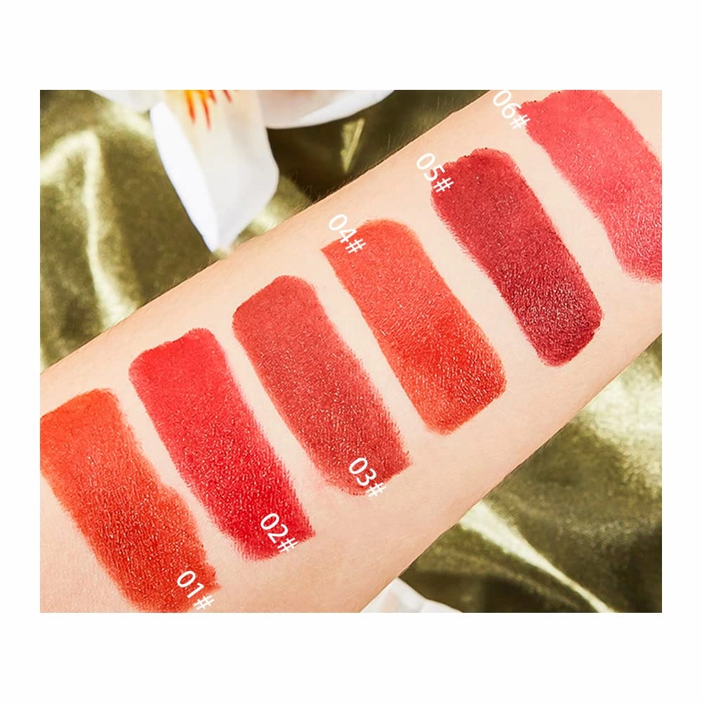 6 Colors Matte Lipstick, Matte Lipstick Long Lasting Waterproof Lip Gloss with Mirror Velvety High Pigmented Lip Stain Kit Girls Women Make Up Gift (02#)