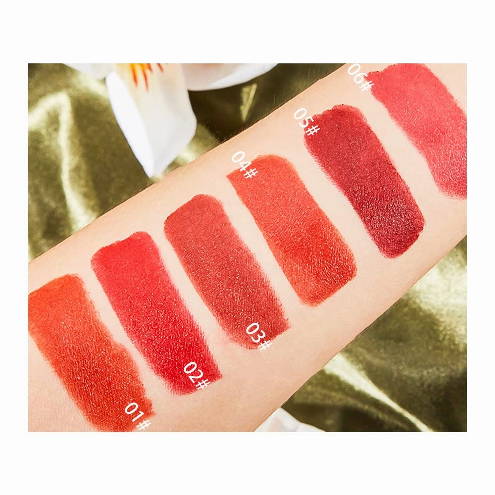 6 Colors Matte Lipstick, Matte Lipstick Long Lasting Waterproof Lip Gloss with Mirror Velvety High Pigmented Lip Stain Kit Girls Women Make Up Gift (06#)