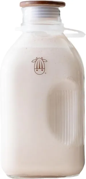 Almond Cow - Glass Pitcher with Lid and Spout, Bottle for Refrigerator, Clear Milk Jug, Food-Grade Glass Liquid Container, 60 fl oz Capacity, 5 x 4 x 10 Inches