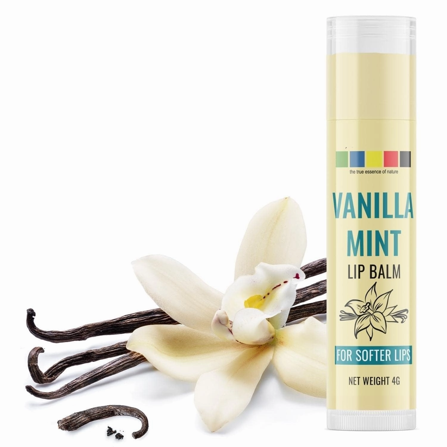 AMC Vanilla Mint Lip Balm With Cocoa Butter & Vanilla, For Dry, Lightweight, Lip Moisturizer for Dry and Chapped Lips 4gm Vanila