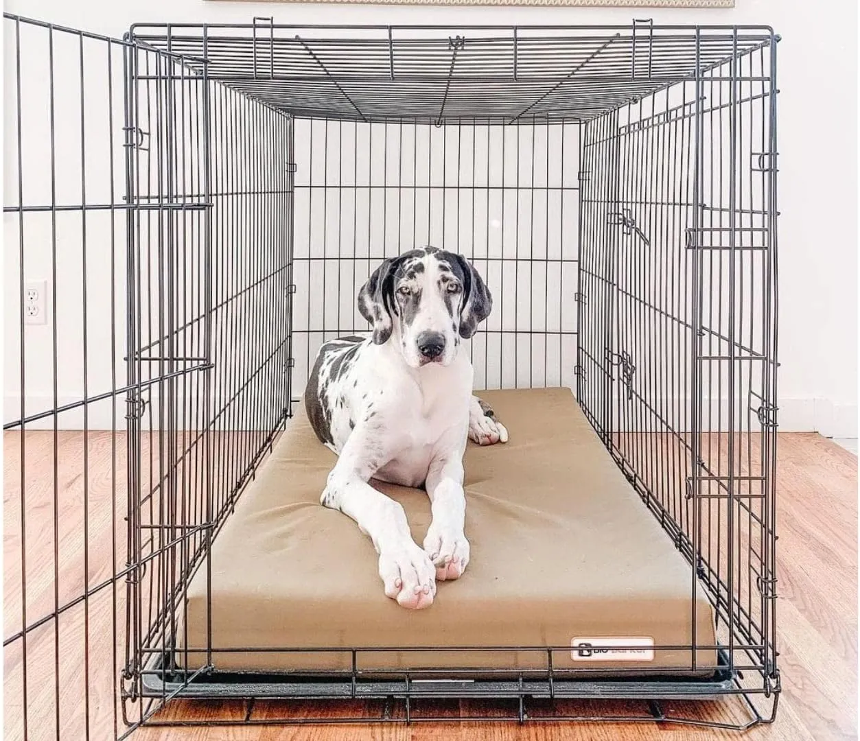 Barker Beds Orthopedic Crate Bed (XL, Cordura)– 4" Memory Foam Pad for Dog Crates – Designed for Extra Large Dogs – Durable, Machine-Washable Cover – Supports Joints – Made in USA