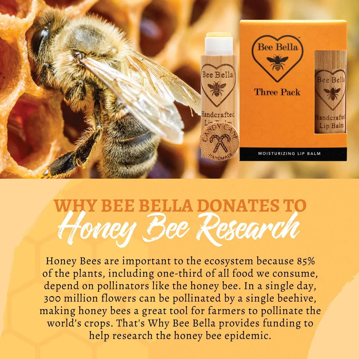 Bee Bella Lip Balm, Candy Cane, 3 Pack - Hydrating, Moisturizing Lip Care, 100% Natural, Original Organic Beeswax with Vitamin E, Handmade in USA