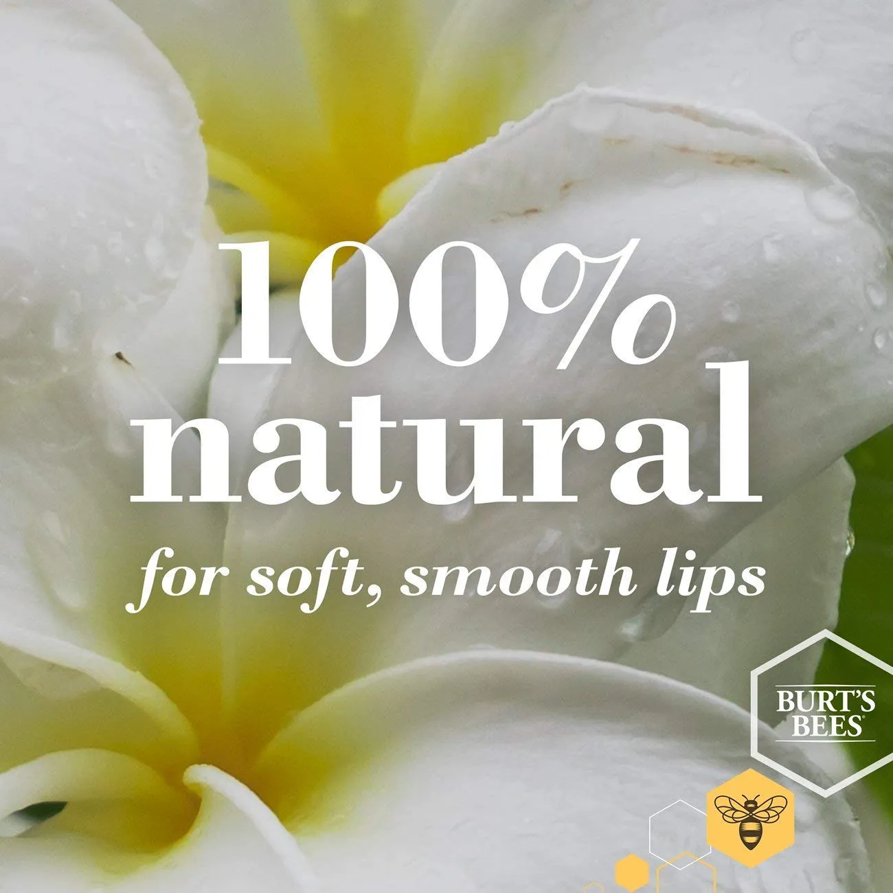 Burt's Bees 100% Natural Origin Moisturizing Lip Balm, Cucumber Mint with Beeswax, 4 Tubes