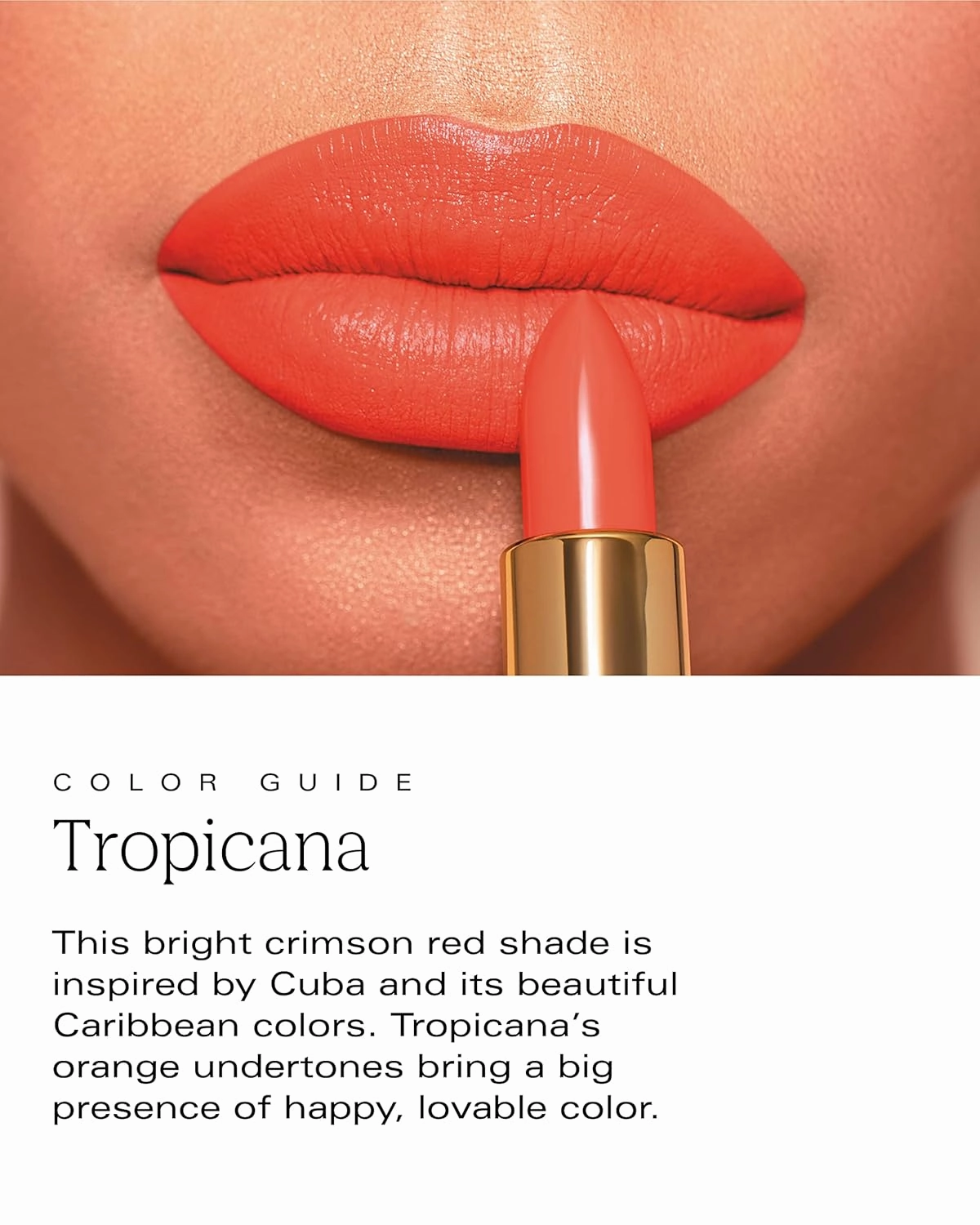 by Patricia De León | High Powered Lipstick (Tropicana) | Intensely Colored Orange-Red Matte Finish Lipsticks | Long Lasting Hydrating Formula, Creamy Texture for Weightless Coverage | Cruelty-Free | .14 oz