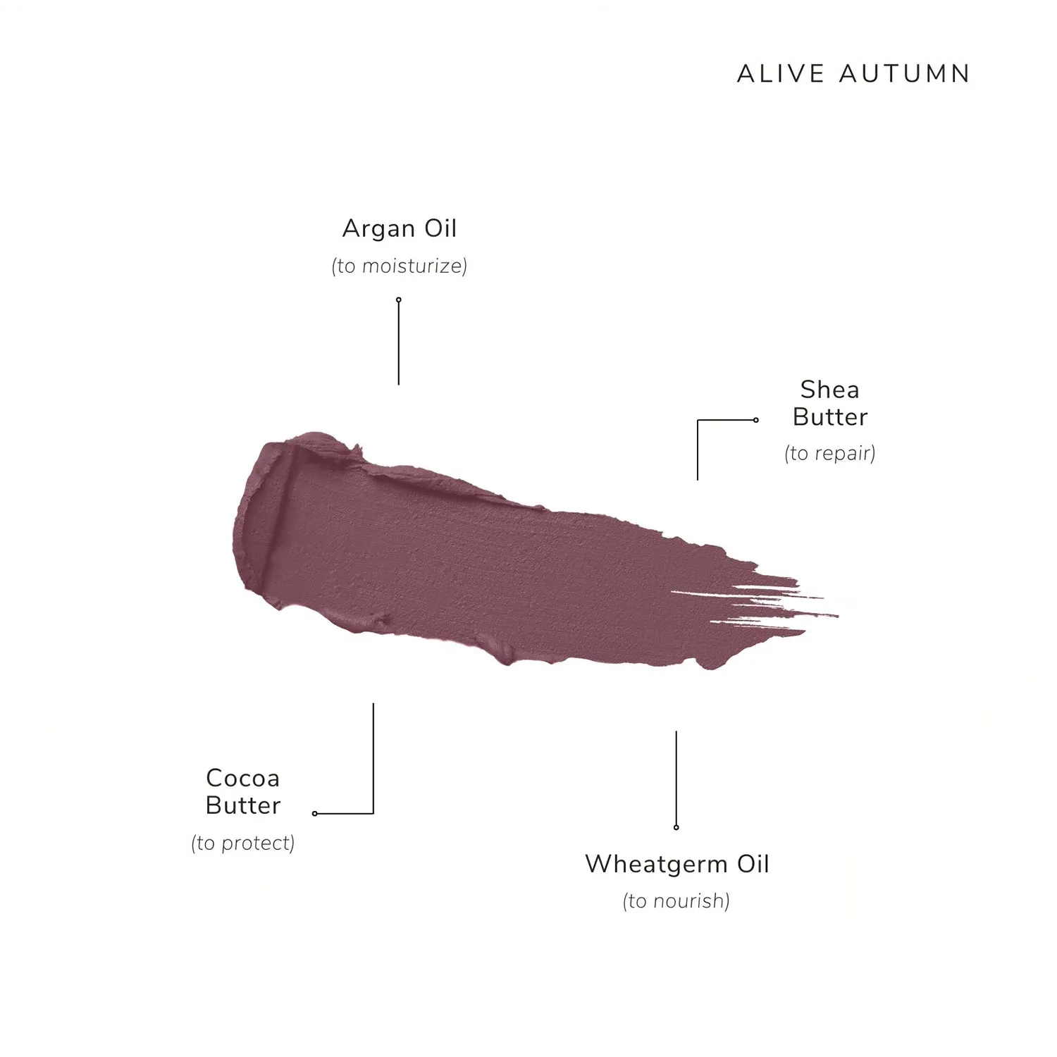 Clean Beauty & Spa New Collection-Hydra-Matte Lipstick Refill-Bold Berry-Fashion Edit Asa Beauty