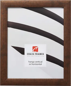 Craig Frames Contemporary Picture Frame, 20 x 28 Inch, Rustic Copper
