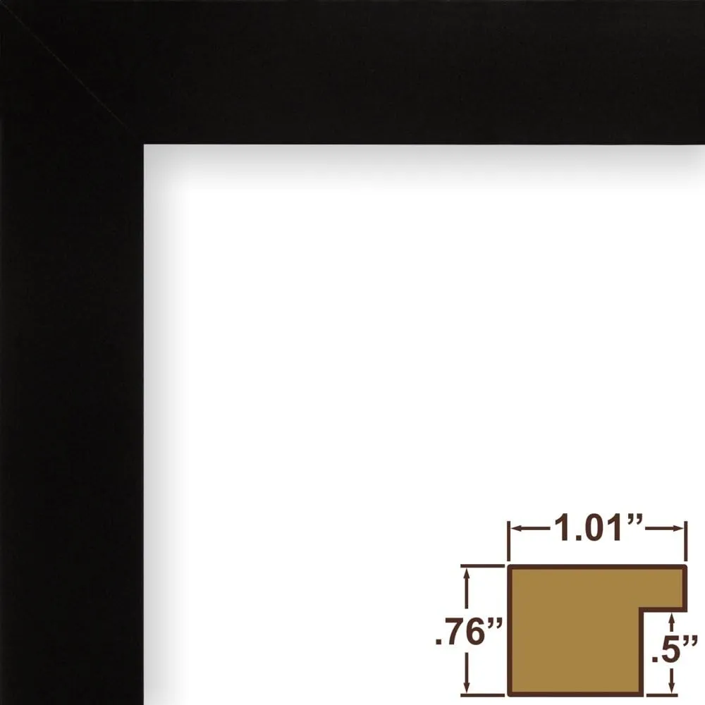Craig Frames Essentials, Modern 1 Inch Wide 20x24 Inch Black Picture Frame Matted to Display a 16x20 Inch Photo
