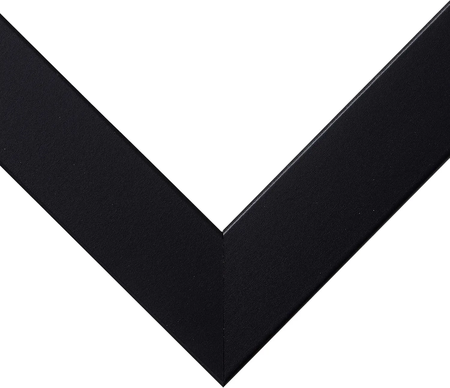 Craig Frames Essentials, Modern 1 Inch Wide 20x24 Inch Black Picture Frame Matted to Display a 16x20 Inch Photo