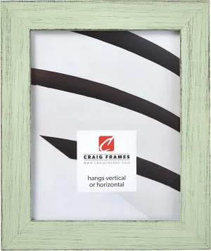 Craig Frames Jasper Picture Frame, 20 x 30 Inch, Country Mint Julep