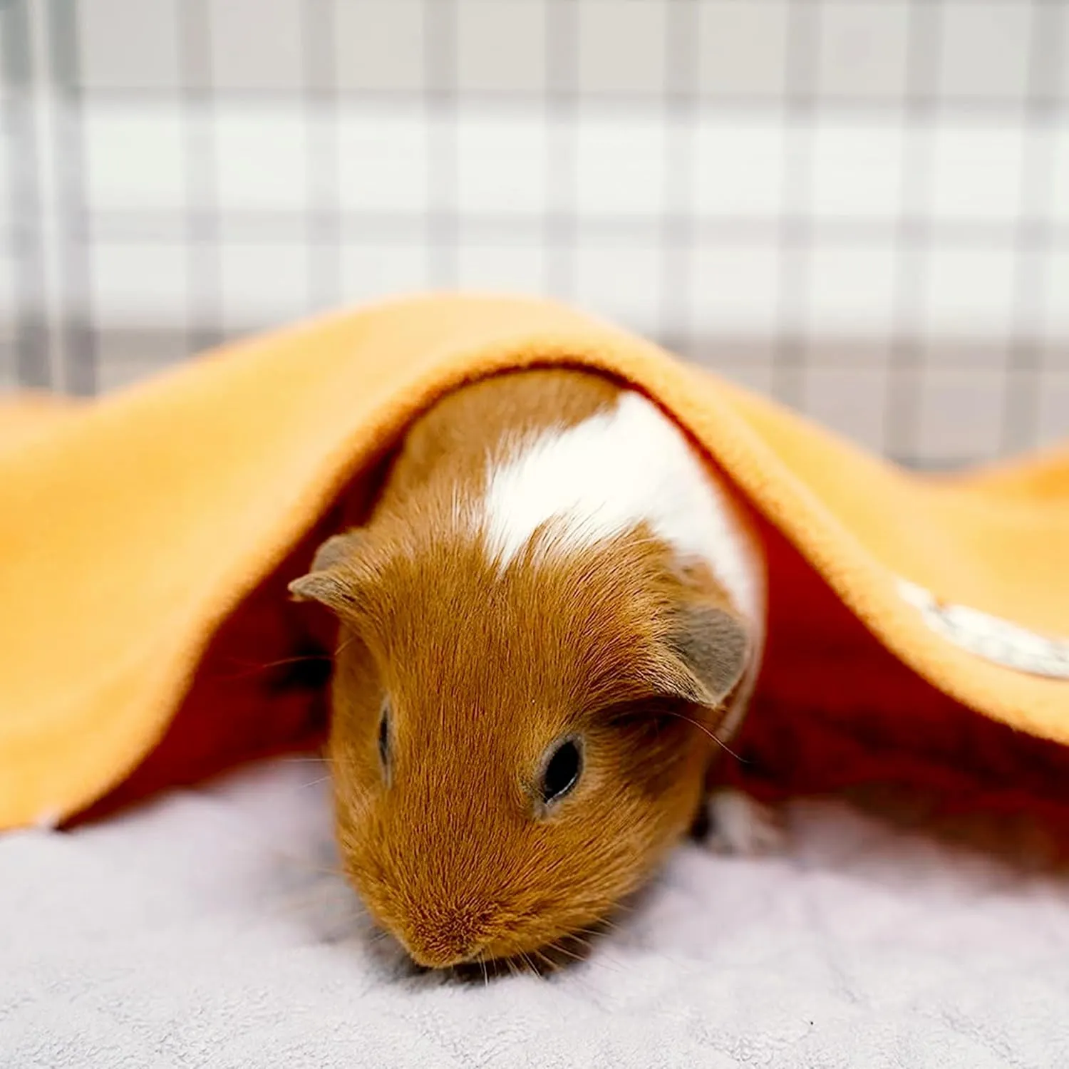 GuineaDad Liner | Guinea Pig Fleece Cage Liners | Guinea Pig Bedding | Burrowing Pocket Sleeve | Extra Absorbent Bamboo | Waterproof Bottom (Midwest, Orange)