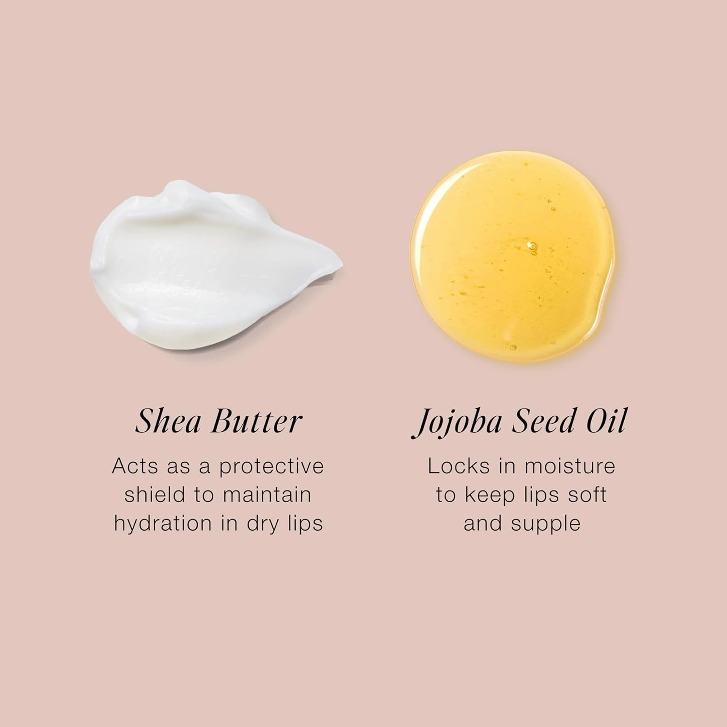 Jouer Balm Bouche Demi-Matte Lip-Sensualité​ - Tinted Lip Balm - Hydrating Lip Tint Long Lasting - Matte Lip Color - Jojoba Seed Oil and Shea Butter Formula