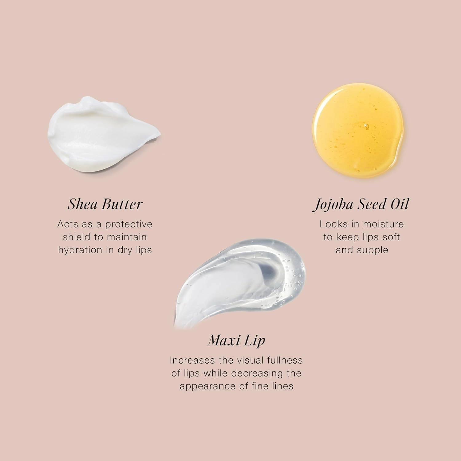 Jouer Essential Lip Enhancer Shine Balm - Enhancing Tinted Lip Balm - Moisturize, Plump, & Nourishing Lip Care - Jojoba Seed Oil and Maxi Lip Formula for Moisturizing and Fullness, Rose
