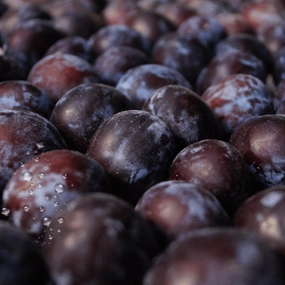 Juicy Plum Natural Flavour Oil