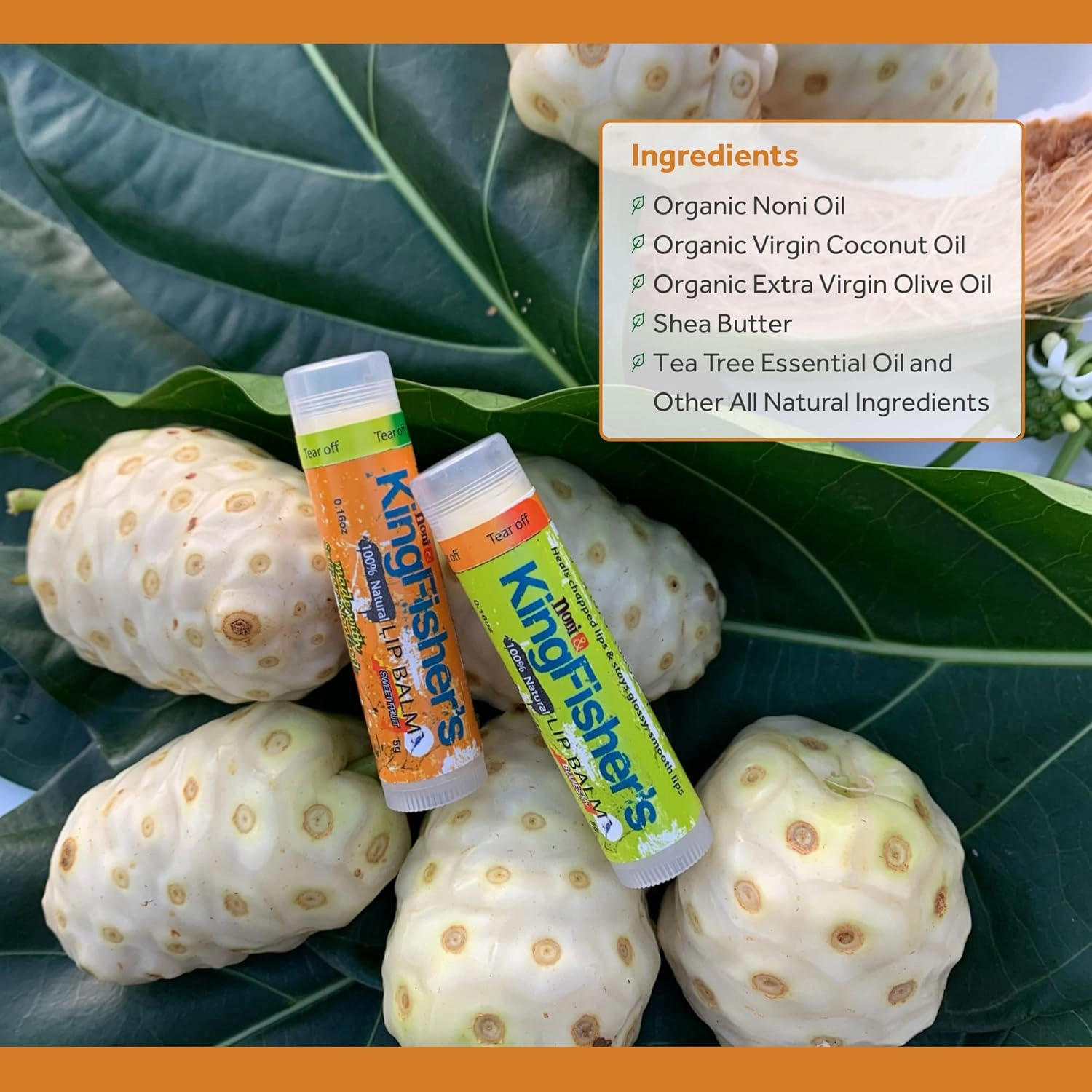 Kingfisher's Noni Lip Balm, 100% Natural Moisturizing Lip Balm, Ultra Hydrating Lip Care, Original Noni Oil & Virgin Coconut Oil (Pack of 2) (1 Sweet Orange and 1 Mint)