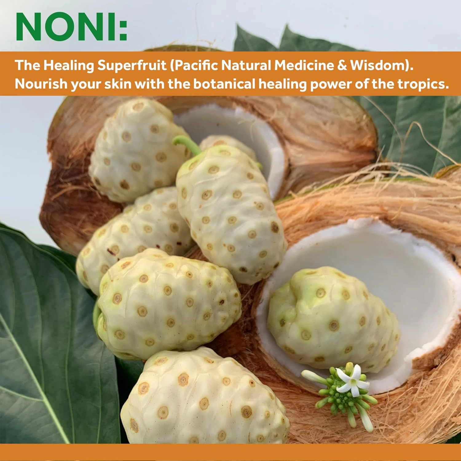 Kingfisher's Noni Lip Balm, 100% Natural Moisturizing Lip Balm, Ultra Hydrating Lip Care, Original Noni Oil & Virgin Coconut Oil (Pack of 2) (1 Sweet Orange and 1 Mint)
