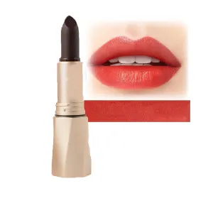Multi-Functional Long-Lasting Color Lipstick (#2, One size)