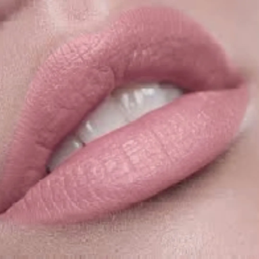 Premium Long Lasting Matte Nude Lip Liner Pencil |Blushing Bride | Light Pink Lip Liner
