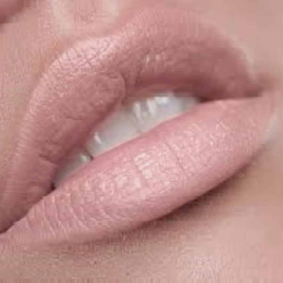 Premium Long Lasting Matte Pale Pink Nude Lip Liner Pencil | Everyday Play…