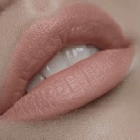 Premium Nude Matte Liquid Lipstick | Unashamed | Vegan, Gluten Free and Cruelty Free