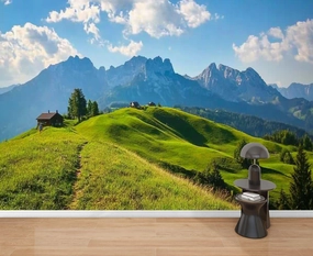 Wall Mural Peel & Stick Idyllic Alpine Scenery Farmhouse Front Wilder Austria Self-Adhesive Wallpaper Removable Wall Decal Wall Sticker Home Decor for Living Room Bedroom 69"x96"